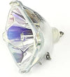 InFocus Proxima LS1 Projector Bulb Original Lamp