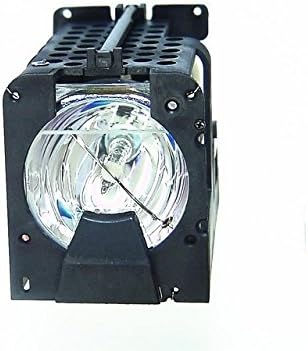 Optoma Projector Lamp: SP.82004.001 Original Replacement