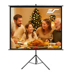 Elite Screens YMS110V 110