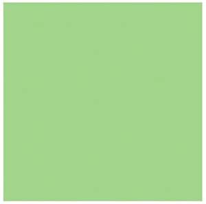 Rosco Roscolux Light Green Lighting Filter Sheet — main product image