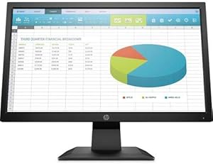 HP 5RD65A8#ABA P204 19.5-inch HD+ Monitor