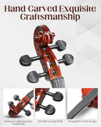 Ktaxon 4/4 Full Size Beginner Acoustic Violin Kit