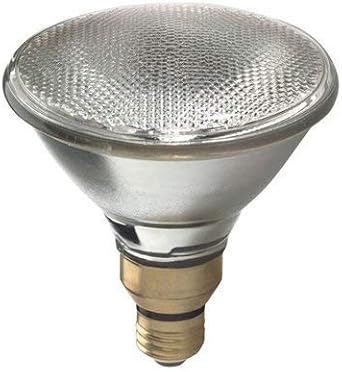 GE 66282 PAR38 80-Watt Floodlight Bulbs 2-Pack