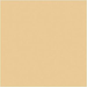 Rosco 3408 1/2 CTO Amber Gel Sheet — main product image