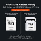 Gigastone 128GB microSDXC A1 V30 4K Card 2-Pack