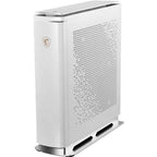 MSI MSIP100036 Prestige P100 9SE-036US Desktop