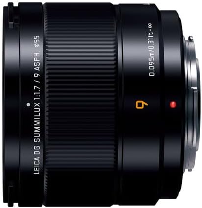 Panasonic H-X09 Wide Angle Lens for LUMIX DSLR
