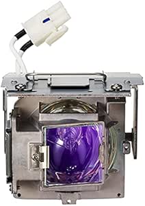 ViewSonic VEW-RLC-110 Projector Replacement Lamp — main product image