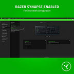 Razer RZ03-02740700-R3U1-cr Cynosa Lite Chroma Gaming Keyboard