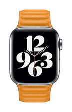 Apple Leather Link Watch Band 40mm California Poppy