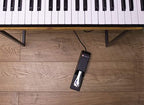 Alesis SP-2 Recital 88-Key Digital Piano Keyboard Bundle
