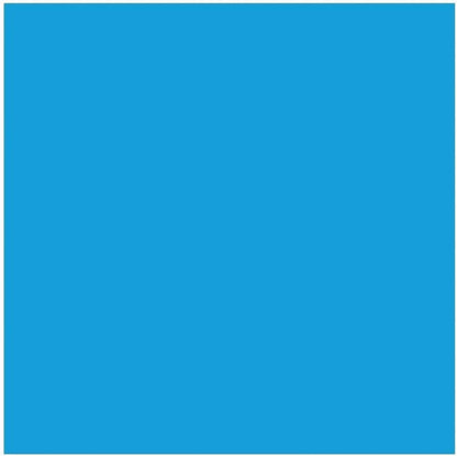 Epson T288220-S 288 DURABrite Cyan Standard Ink Cartridge