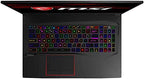 MSI 10SFS-018 GE75 Raider i7 RTX 2070 Gaming Laptop