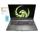 MSI ALPHA17 Alpha 17 Ryzen 7 RX 5600M Gaming Laptop