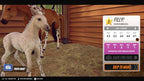 Rival Stars Horse Racing PS5 Physical Disc Edition