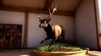 THQ Nordic Way of the Hunter 2 Deluxe Edition Hunting Sim