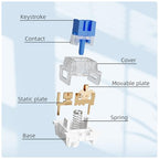 Outemu Blue Clicky Mechanical Keyboard Switches, 150-Pack