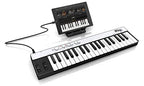 IK Multimedia IP-IRIG-KEYSLGT-IN iRig Keys MIDI Controller