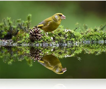 Nikon 20058 AF-S 200-500mm VR Telephoto Zoom Lens Bundle