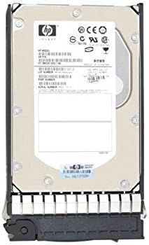HP EG0300FAWHV 300GB SAS 10K Hard Drive - 2.5" SFF (Renewed)