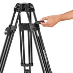 Manfrotto 504X Fluid Video Head with 645 Fast Twin Tripod