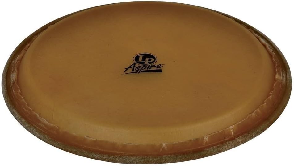 Latin Percussion LPA640B Aspire 11" Rawhide Conga Head