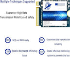 THREE COLOUR DOGFISH M.2 2230 NVMe Internal SSD
