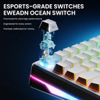 EWEADN X75 V2 75% Wireless Hot-Swap Mechanical Keyboard
