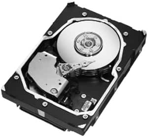 Seagate ST3300655SS 300GB 15K SAS Hard Drive