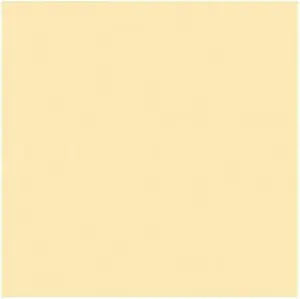 Rosco Roscolux Pale Yellow Color Effects Lighting Filter — main product image