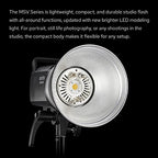 Godox MS300V 300W Studio Flash with Light Stand & Softbox