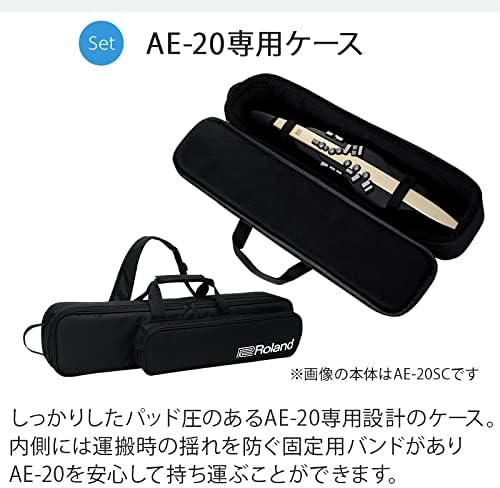 Roland AE-20 Aerophone Digital Wind Instrument Black