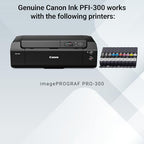 Canon 4192C007 PFI-300 Lucia PRO Ink 10-Color Tank