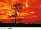 Cokin WA1T002 Creative Filter A002 Orange Photography