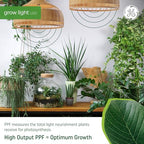 GE 93130546 Grow Light A19 LED Bulb 2-Pack