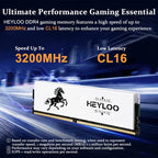 HEYLOO DDR4 RGB Dual-Channel Desktop Memory Kit