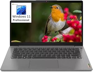 Lenovo IdeaPad 3 17" i5 8GB 512GB SSD Windows 11 Pro Laptop