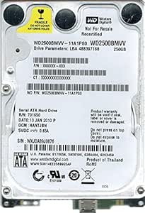 Western Digital WD2500BMVV-11A1PS0 250GB USB 2.0 HDD — main product image