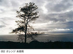 Cokin WA1T002 Creative Filter A002 Orange Photography