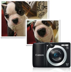 Canon PowerShot A1400 16MP Digital Camera (Renewed)