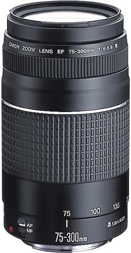 Canon E30CNEOSRT7LENX2 Rebel T7 Double Zoom Bundle