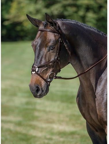 Crown Dover Saddlery Figure-8 Bridle Horse Size — main product image