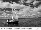 Cokin WA1T002 Creative Filter A002 Orange Photography