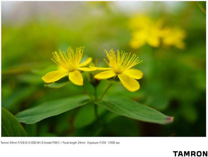 Tamron E11TM24F28S 24mm f/2.8 Sony E-Mount Lens Bundle