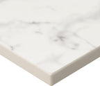 MSI AMZ-DBVANS-6122-0006 Calacatta Marble 61-inch Double Sink Vanity