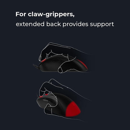 BenQ EC3-C Zowie Ergonomic Esports Gaming Mouse