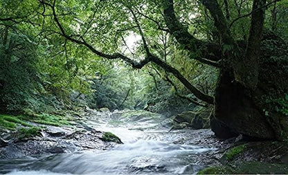 Sony FE 35mm F1.4 GM Lens Bundle with Filter