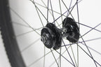 Gravity Economy 27.5