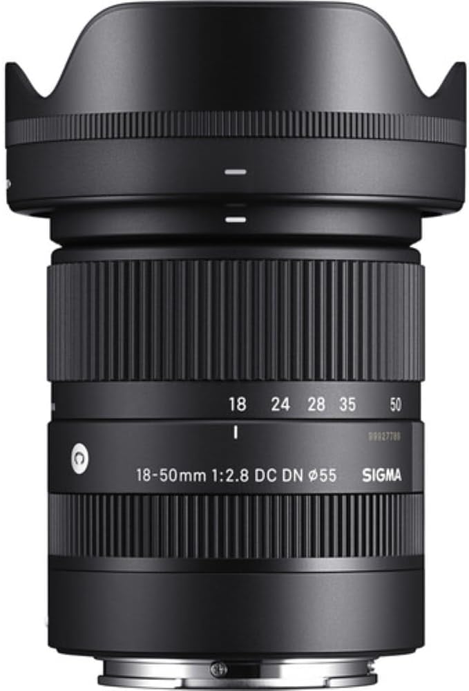 Sigma 18-50mm f/2.8 DC DN Contemporary Sony E Lens
