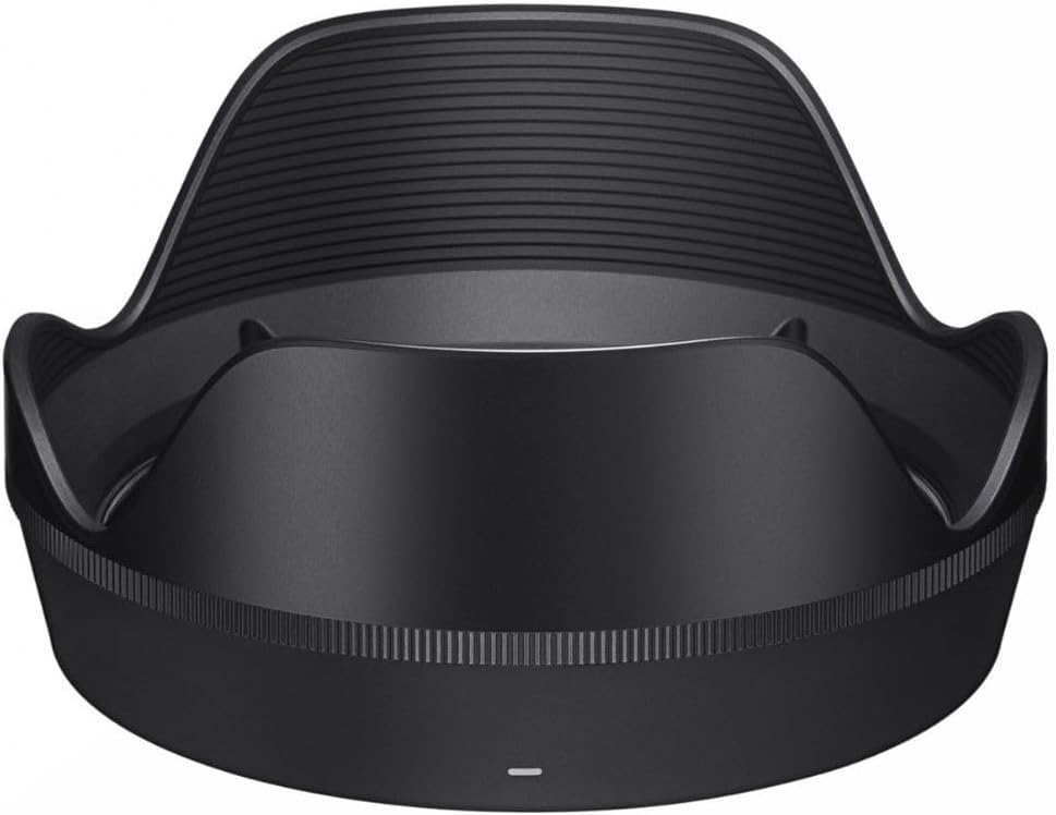 Sigma 612965 28-45mm f/1.8 DG DN Art Lens Sony E